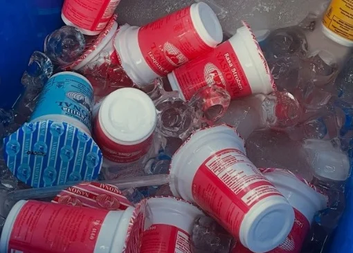 nutrisi susu murni