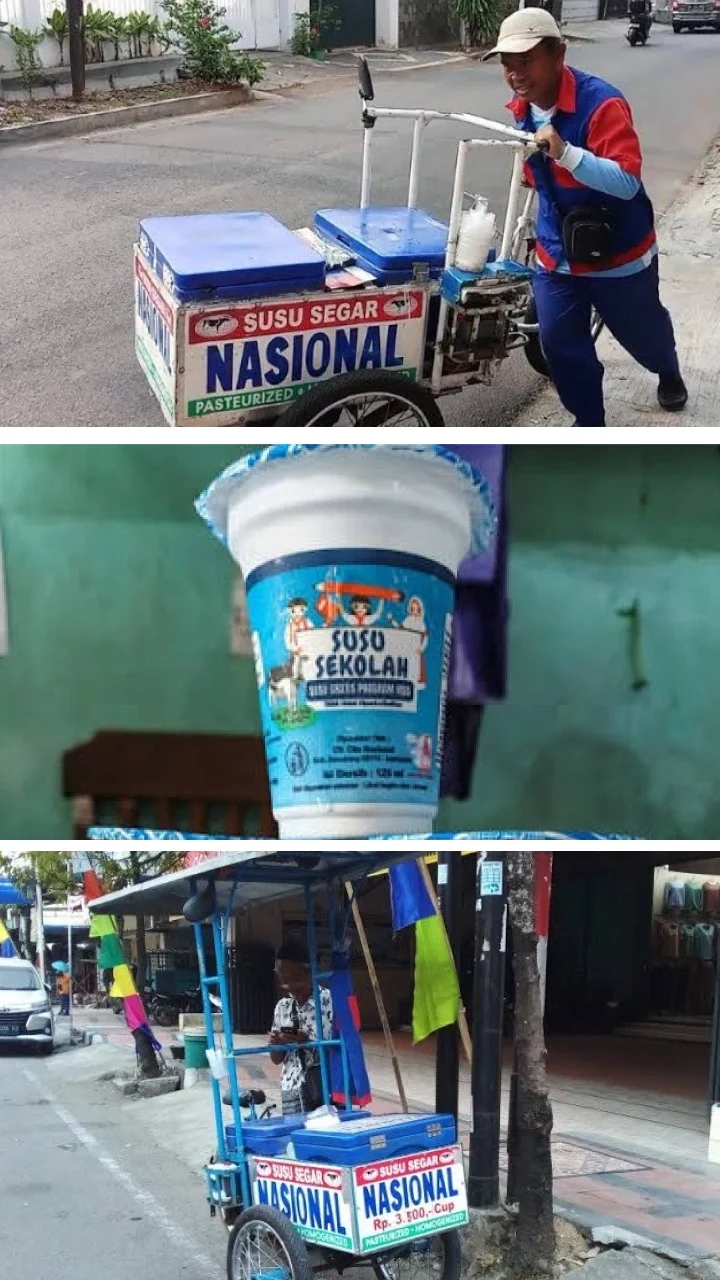susu murni nasional